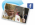 Katolická církev na Internetu