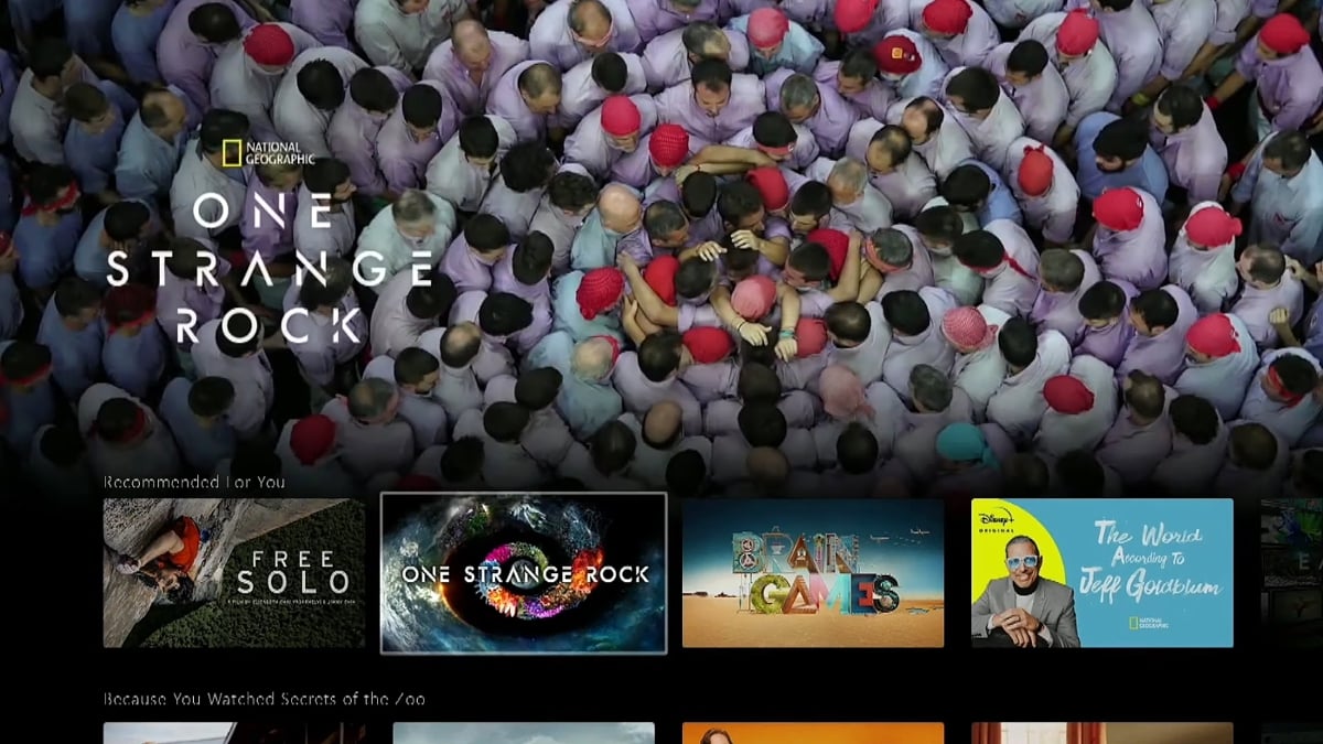 National Geographic v Disney+