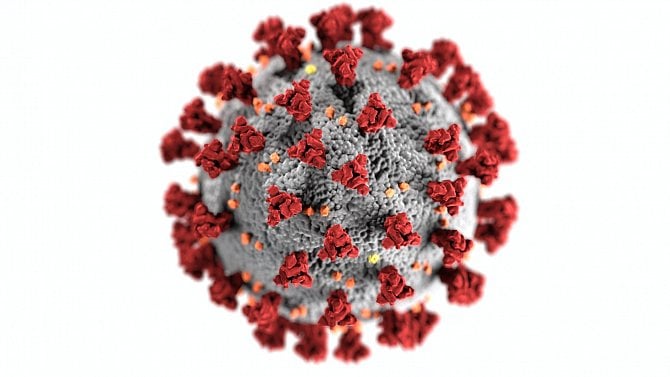 Koronavirus, Covid-19