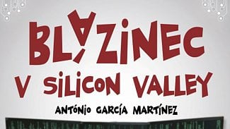 Blázinec v Silicon Valley