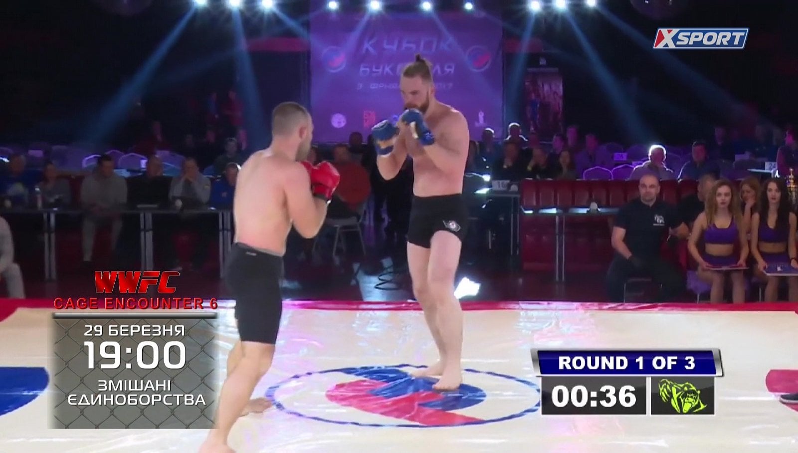 Nové hvězdy na satelitním nebi 19. až 25. března