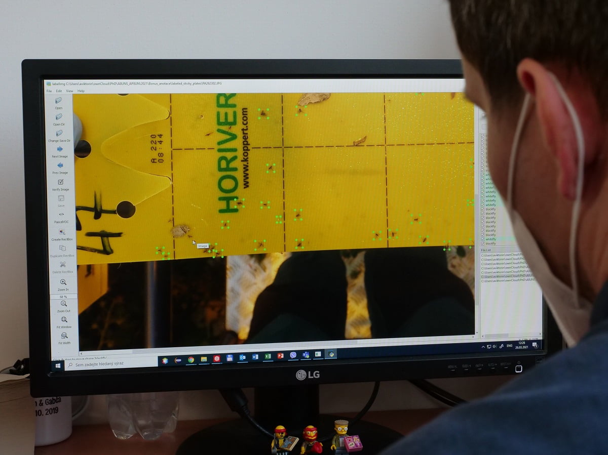 Škůdci ve skleníku "loví" lepící štítky, které snímá kamera.