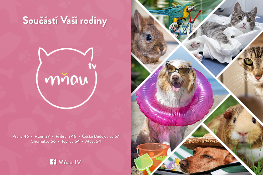 TV Mňam a Mňau v regionech