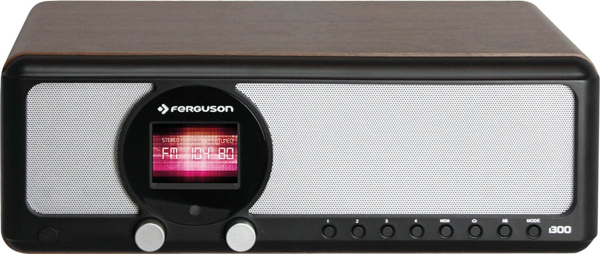 Ferguson i300