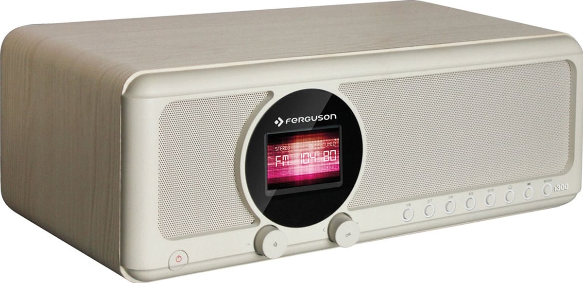 Ferguson i300
