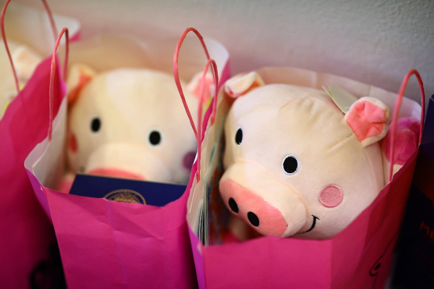 Zdenka Chocholoušová, Pigy.cz (Lagardere Active ČR)