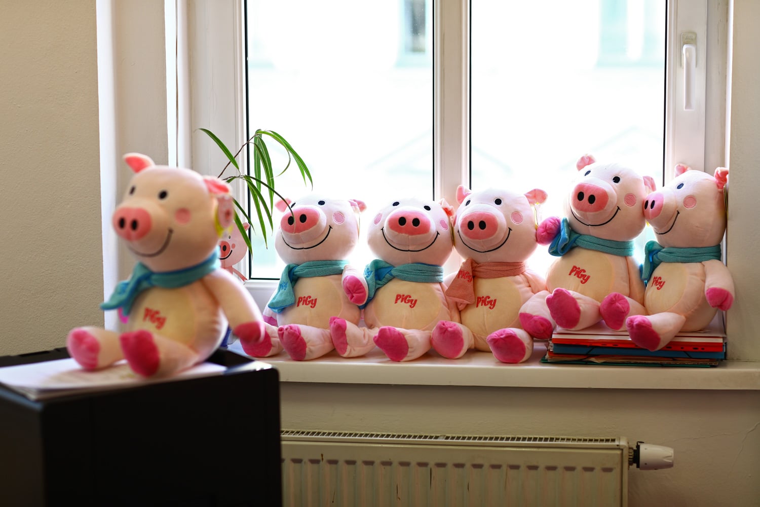 Zdenka Chocholoušová, Pigy.cz (Lagardere Active ČR)