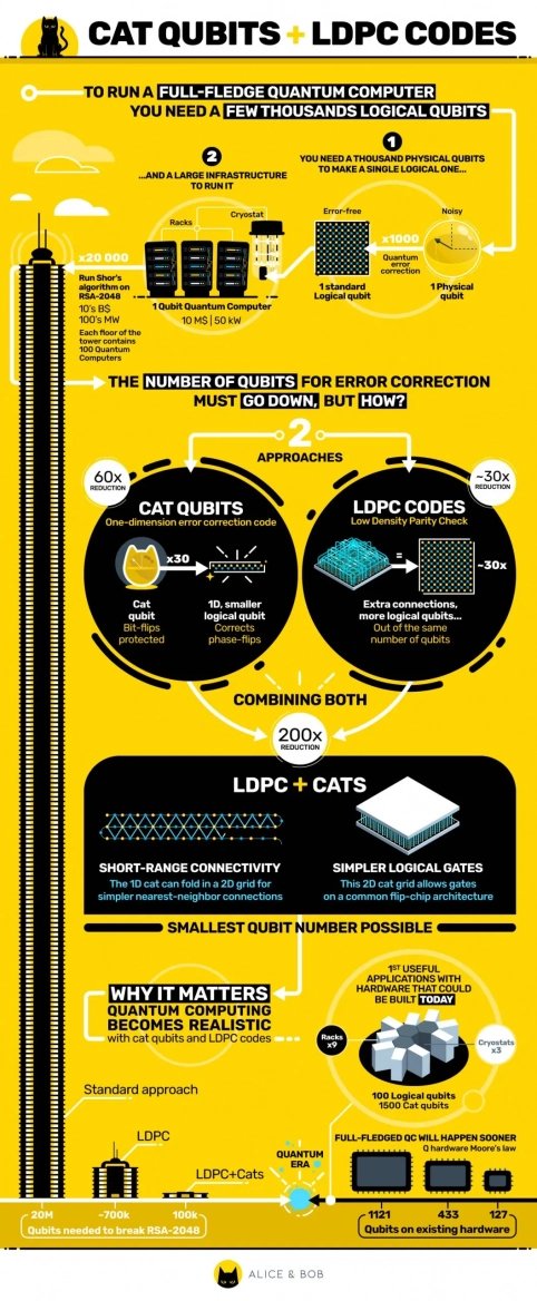 Alice & Bob a cat qubity