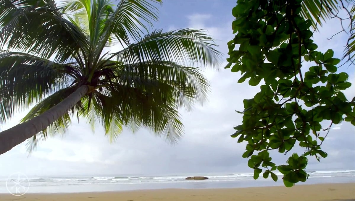 Zidoo H6 Pro  - přehrávání videa