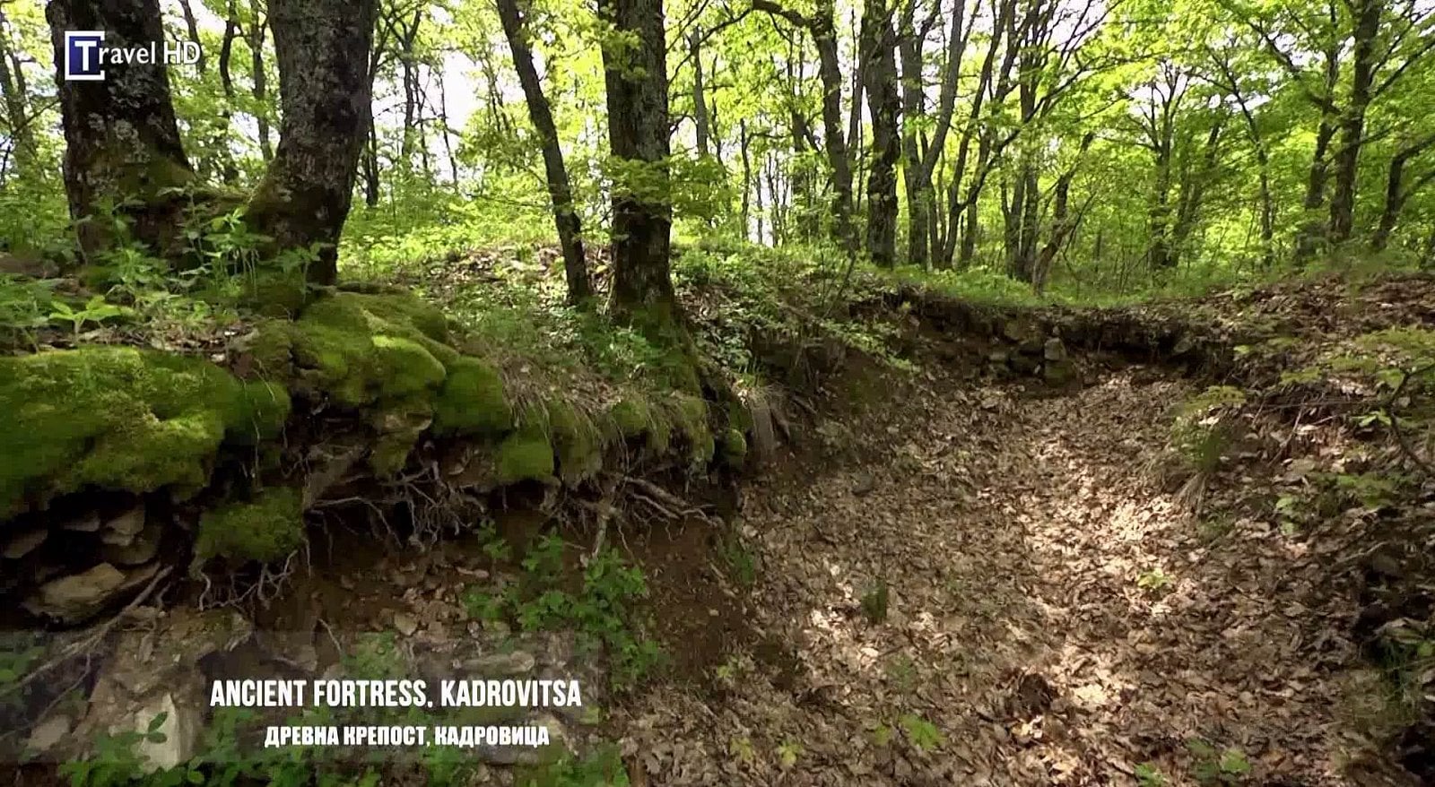 Nové hvězdy na satelitním nebi 7. až 9. července