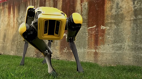 Boston Dynamics