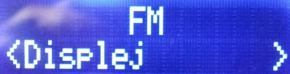 Technisat TechniRadio 1 - FM