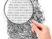 Vizualizace a datamining