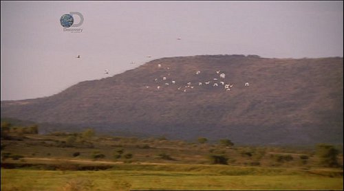 Tematická stanice Discovery Channel dostupná na českém trhu přešla na obrazový formát 16:9