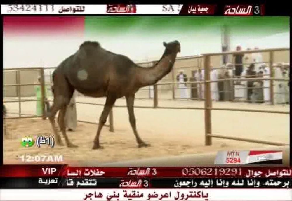 Nové hvězdy na satelitním nebi 14. až 17. května