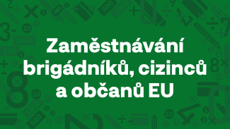 Zaměstnáváte brigádníky nebo cizince? Tohle byste měli znát