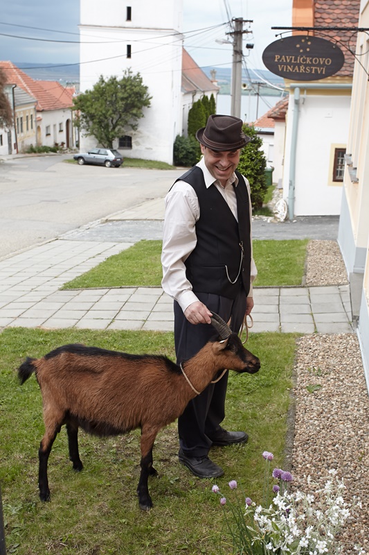 V novém seriálu Primy Vinaři si zahraje Miroslav Táborský