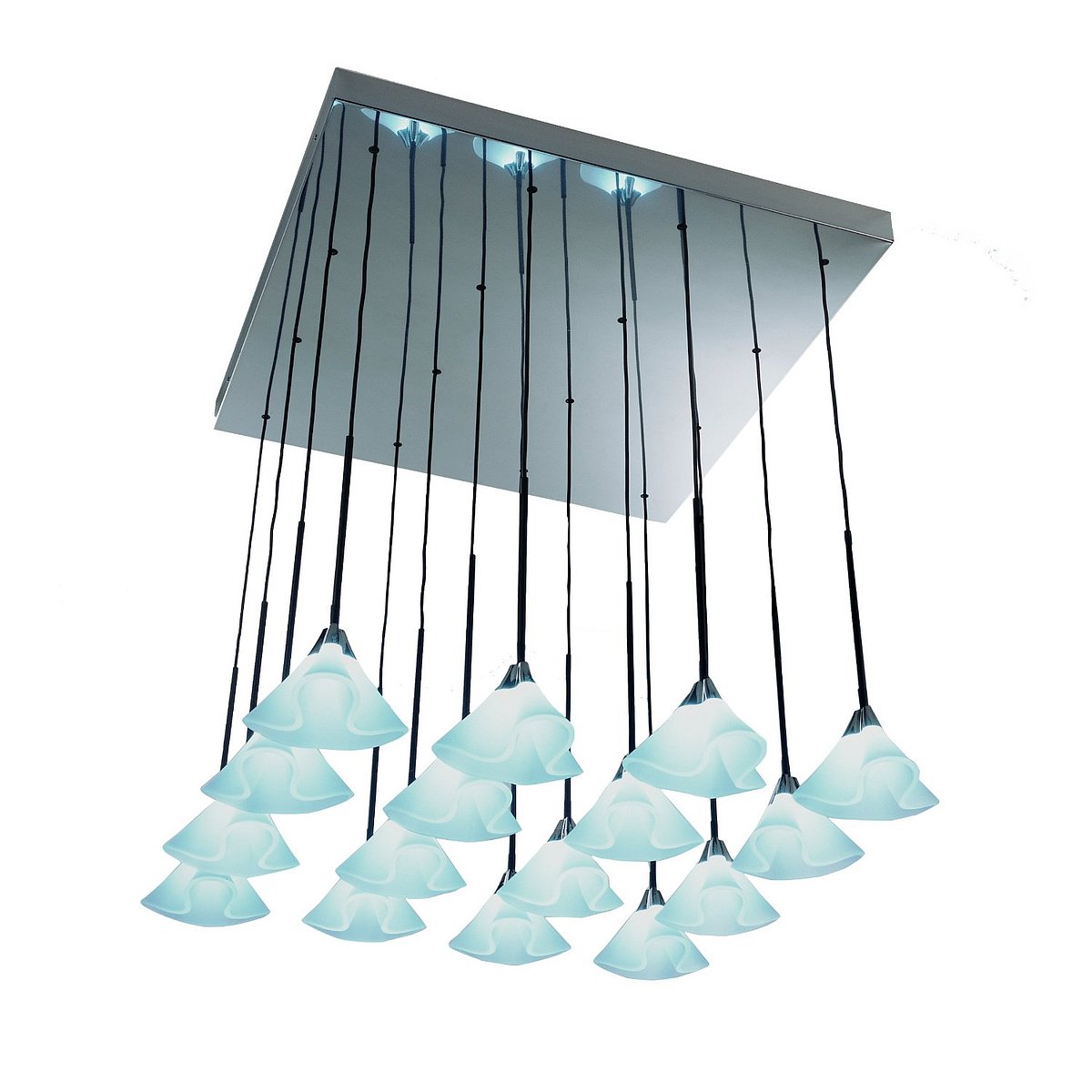 Coral LED Suspension.