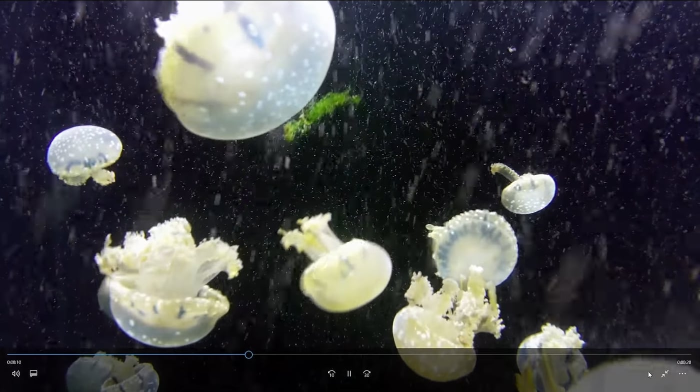 AK1 - Ukázky přehrávání