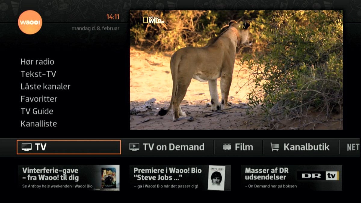 Hlavní menu, EPG, vlastní seznamy programů