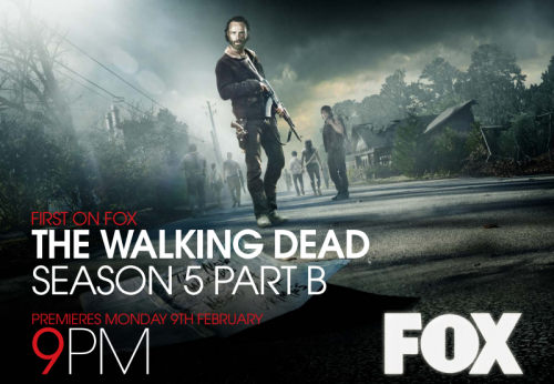 Diváci v České republice legální cestou nové díly seriálového hitu The Walking Dead ještě neviděli. Museli si je stáhnout z internetu.