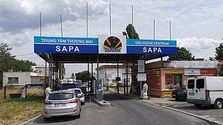 Sapa