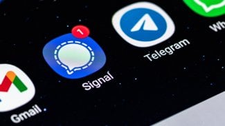Aplikace Signal a Telegram na displeji mobilního telefonu