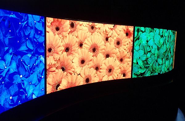 Prototypové OLED byly představeny v ploché i v dvojí zakroucené podobě.