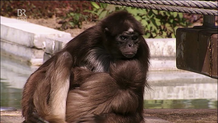 Nové německé nekódované HD kanály ze satelitu Astra