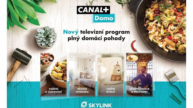 Canal+ Domo