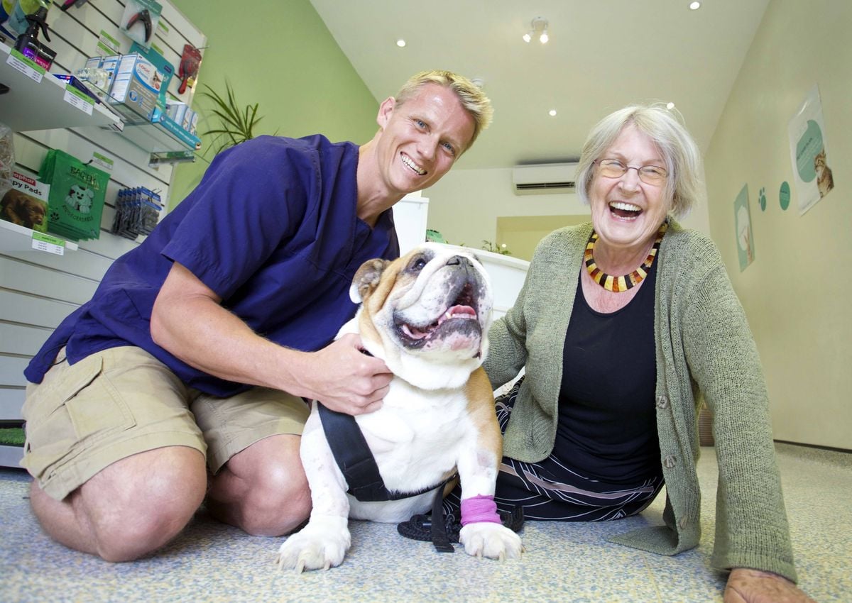 Zvěrolékař v jednom kole