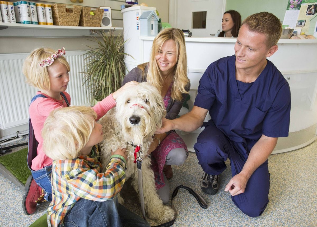 Zvěrolékař v jednom kole