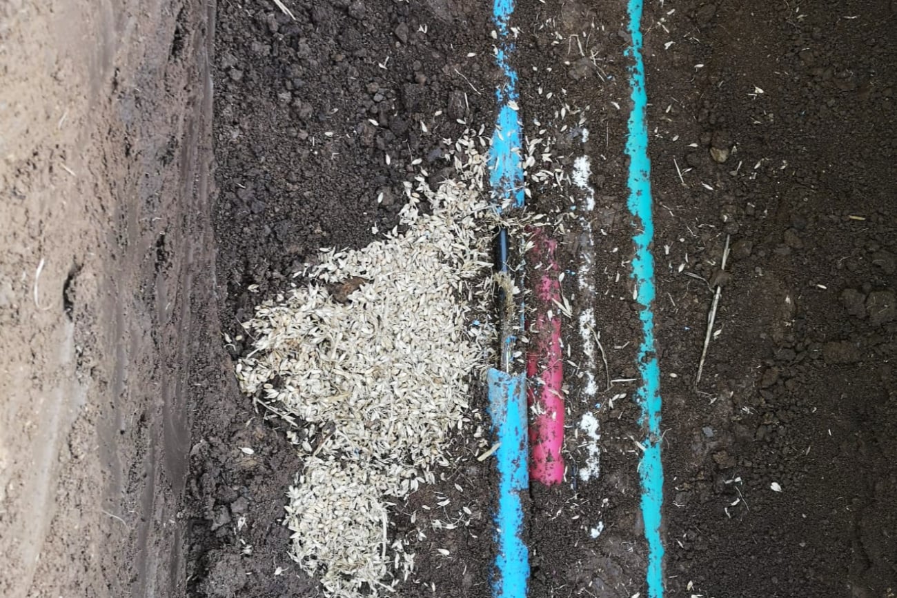 „HDPE trasa je uložena v hloubce přibližně jednoho metru pod zemí, což pro křečka nebyl vůbec žádný problém,“ dodává Libor Silvestr.