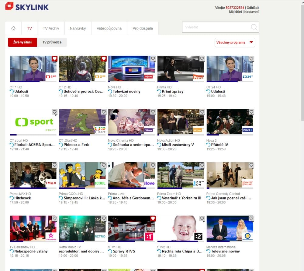Skylink Live TV - web (PC)