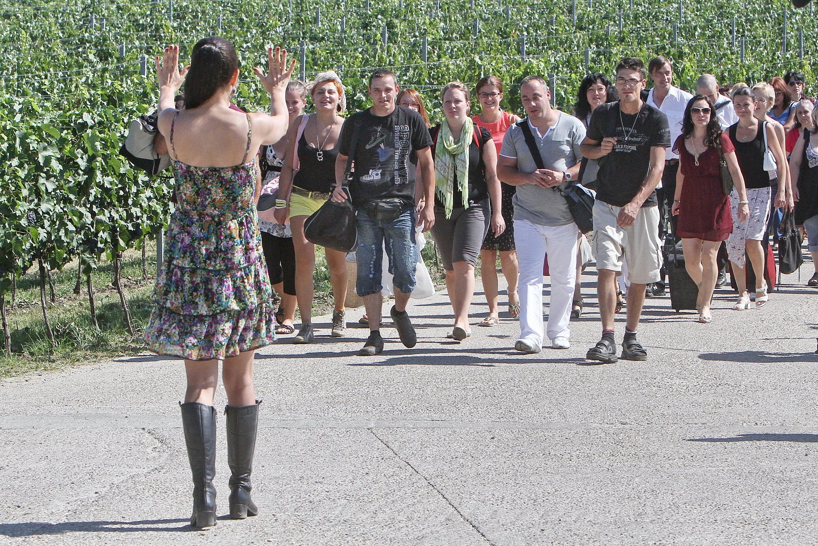 Farmář hledá ženu a Polívka na víně