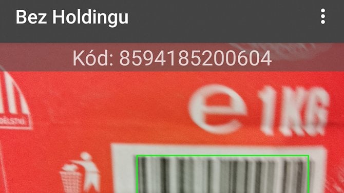 Bez Holdingu