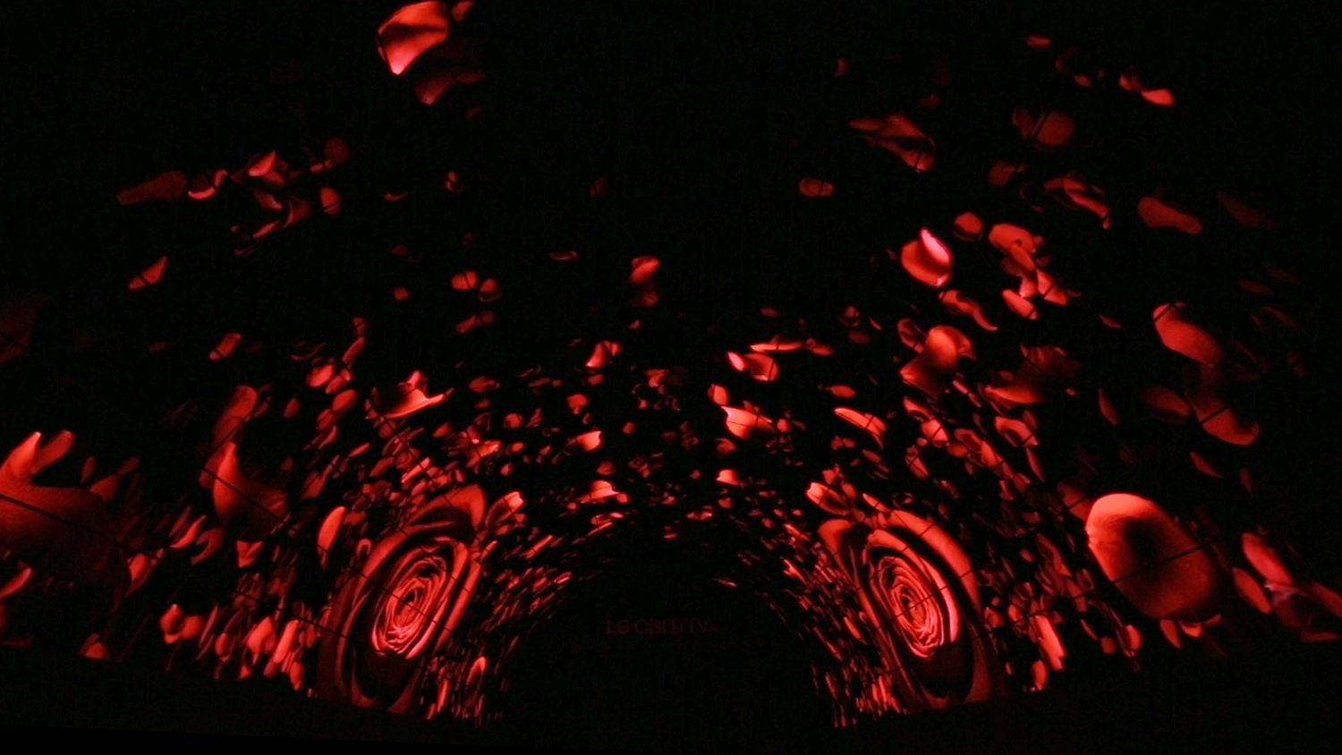 IFA 2016 - LG OLED tunel
