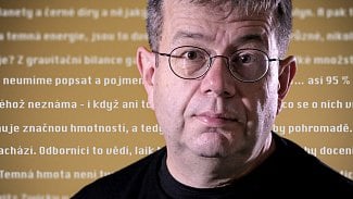 Novinář Petr Koubský