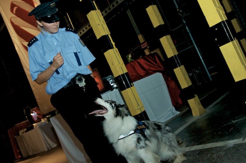 Nova představila novinářům programové schéma pro podzim 2014