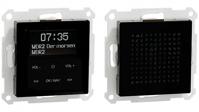 Schneider Electric DAB+