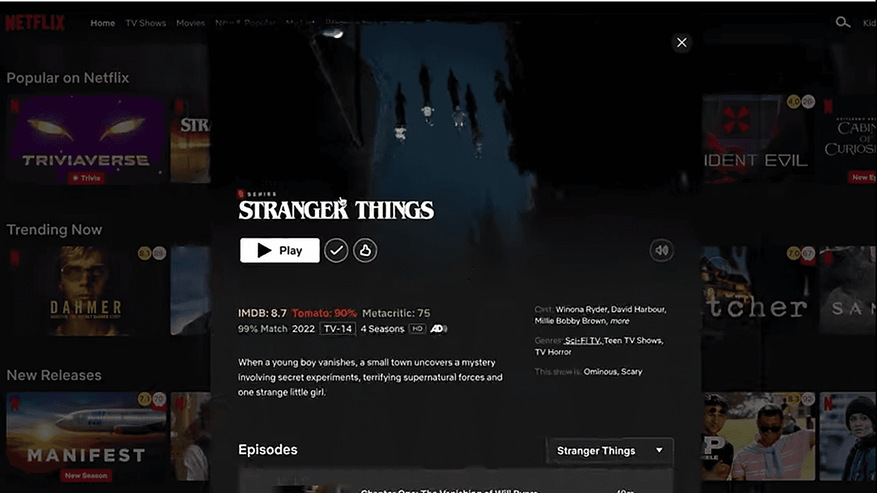 Netflix - ukázka předplatného s vkládanou reklamou