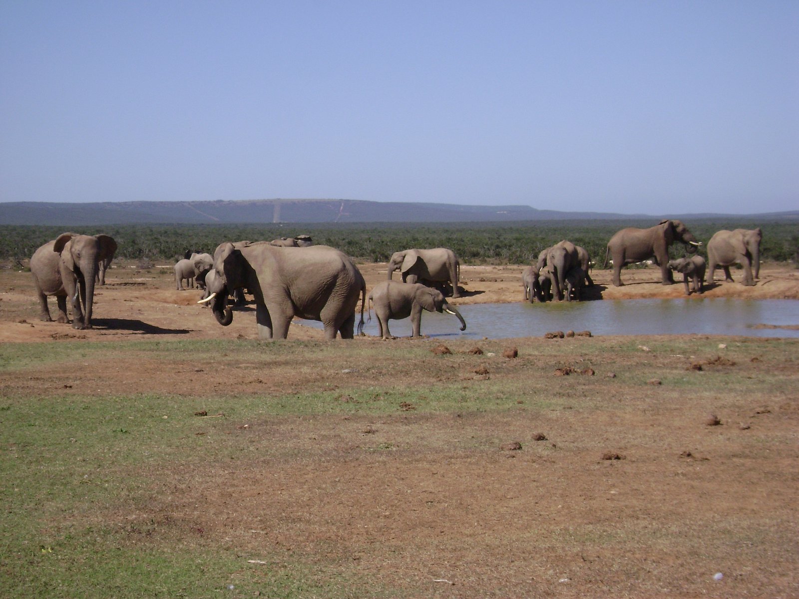 Zvláště Primě Zoom by bezpochyby vysílání v nativním HD slušelo.