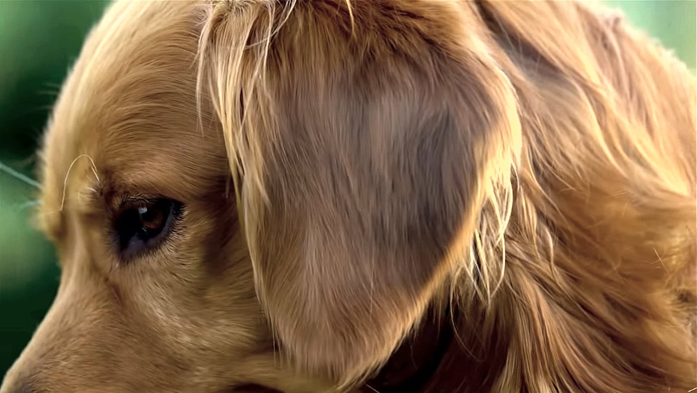 Kodlix U500 - Netflix