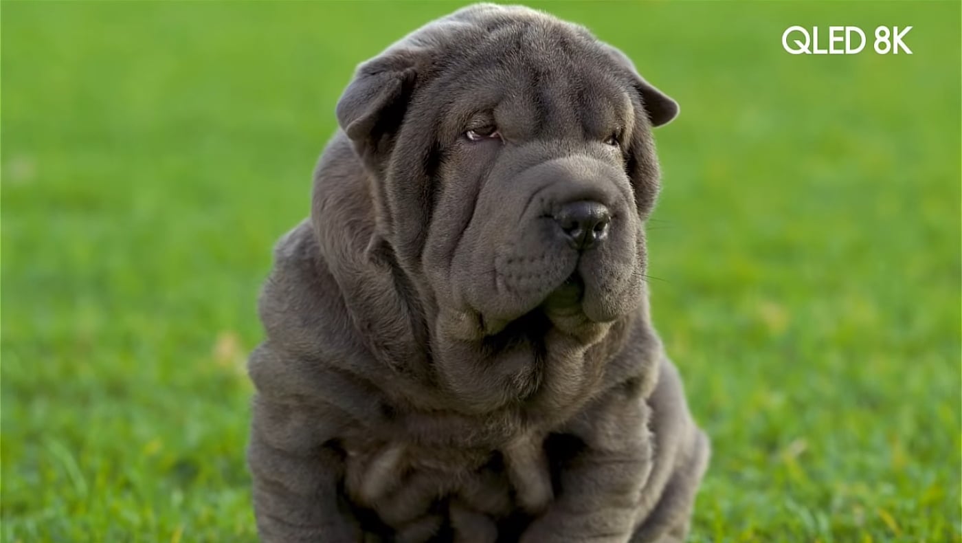 Kodlix U500 - Netflix