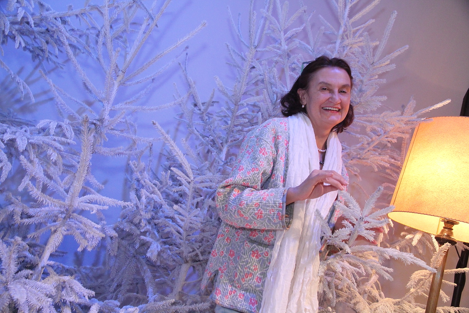 Vánoce 2013: Tisková konference České televize