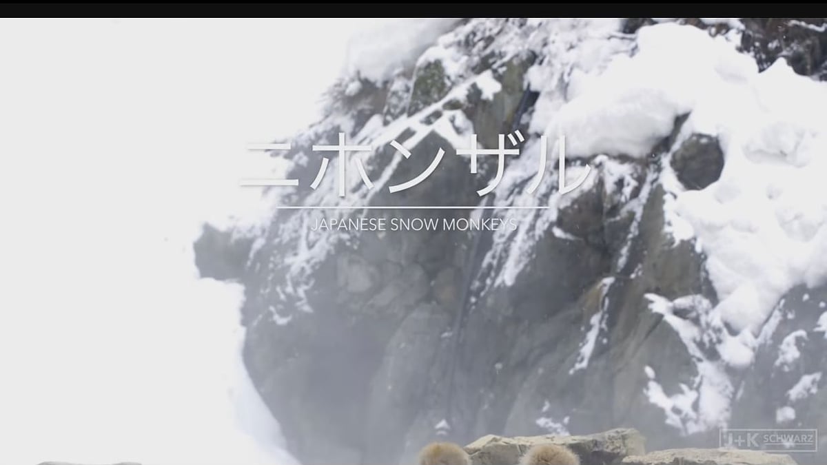 Alfawise H96 Mini - Ukázky přehrávání videosouborů