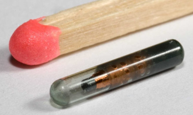 Čip vpravovaný do těla.