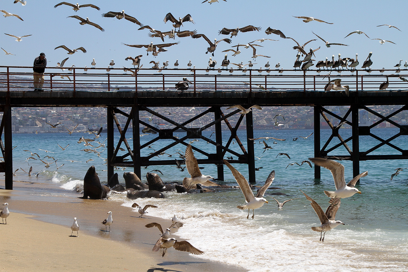 Pobřeží ve Valparaíso