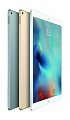 iPad Pro