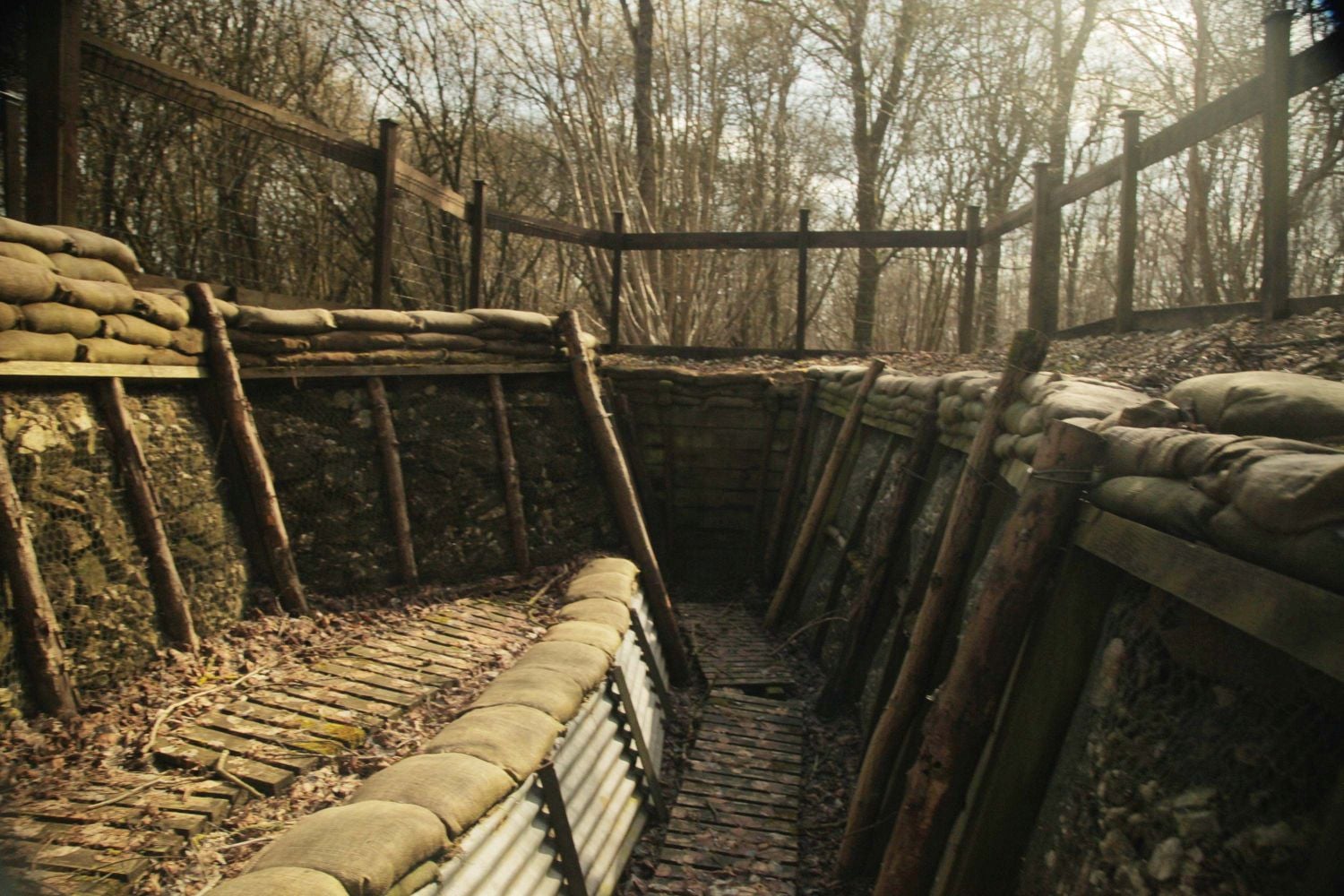 Prima Zoom - Sarajevo a Somma